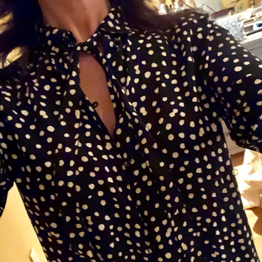 Banana republic sheer blouse with necktie